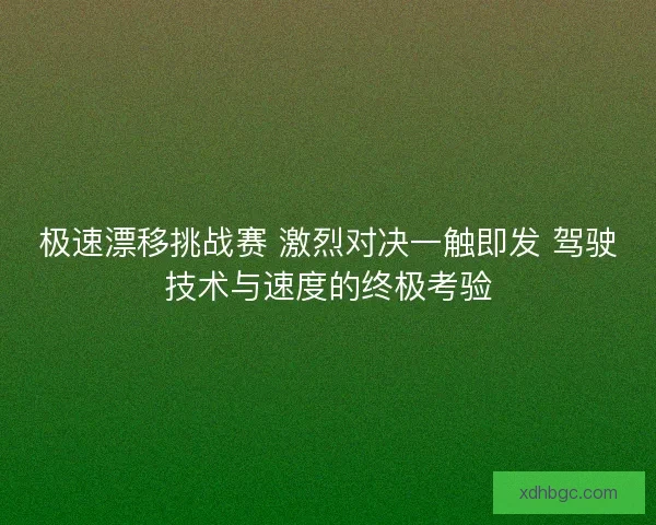 极速漂移挑战赛 激烈对决一触即发 驾驶技术与速度的终极考验