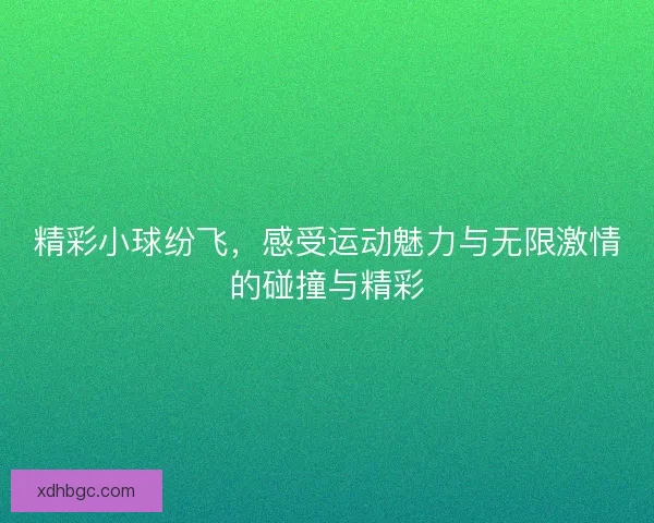 精彩小球纷飞，感受运动魅力与无限激情的碰撞与精彩