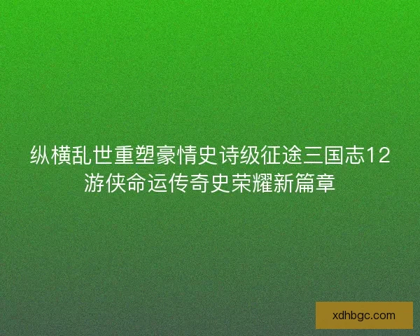 纵横乱世重塑豪情史诗级征途三国志12游侠命运传奇史荣耀新篇章